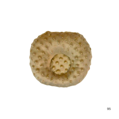 Baby Round Head Pillow